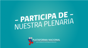 plenaria_plataforma